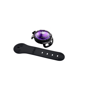 Orbiloc_Dog_Dual_Adjustable-Strap_Purple_exposed_LR.jpg