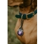 Orbiloc_Dog_Dual_Purple_Carabiner-Close-up-Collar@herecomesreka_LR.jpg