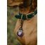 Orbiloc_Dog_Dual_Purple_Carabiner-Close-up-Collar@herecomesreka_LR.jpg